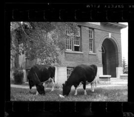 Natchez School S.S. No. 6 Closing