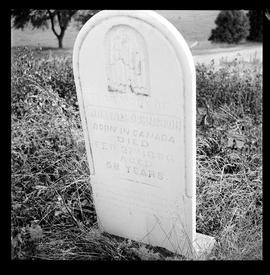 Pioneer Cemetery near Haysville, Summer