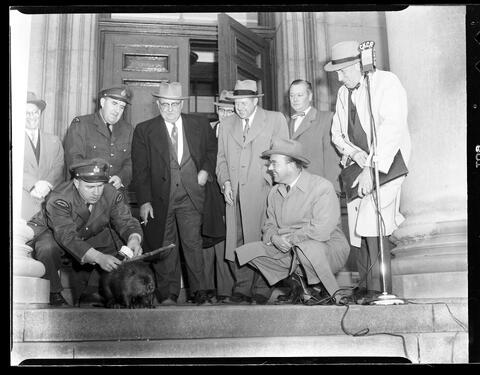 Original Digital object not accessible