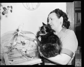 Pets, Cat and Budgie