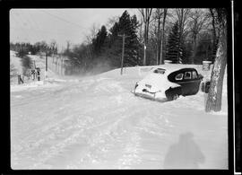 Winter Activities