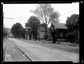 Caroline Street Tree Removal