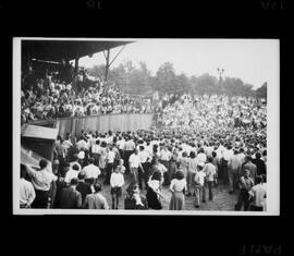 Baseball Jr. Nr. Riot