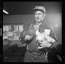 Israel, Earl & Fowl