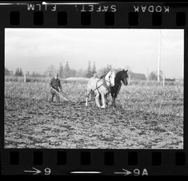 Mennonites Plowing