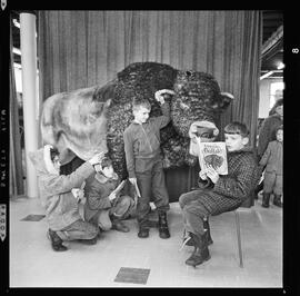 Buffalo Toy, Waterloo Library
