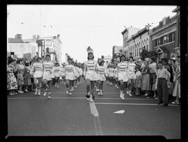 Waterloo, Band Festival