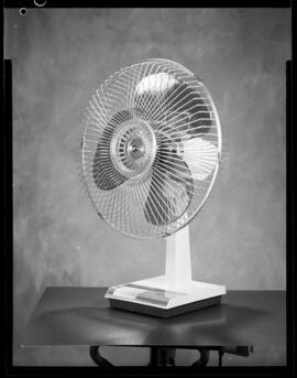 Eatons,  Fans