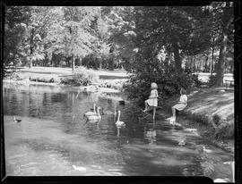 Victoria Park children feeding swans