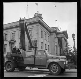 City Hall, Tree Removal
