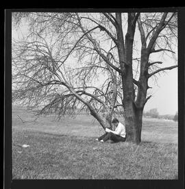 University of Waterloo, Students Studying