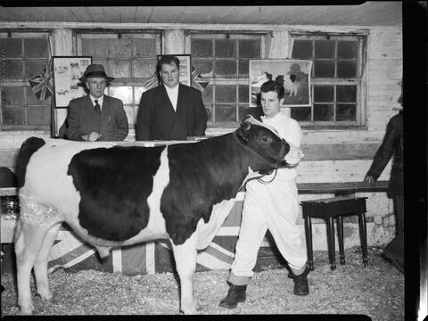 Original Digital object not accessible