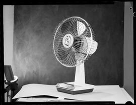 Eatons, Fan