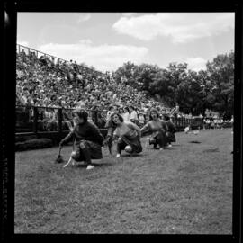 Kitchener, Public School Field Day