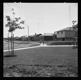 Apartment versus Suburban Living