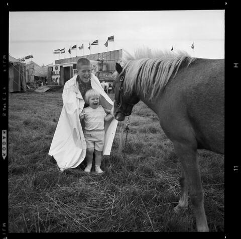 Original Digital object not accessible