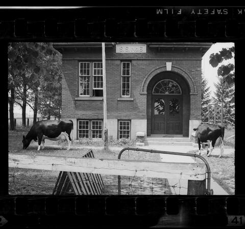 Original Digital object not accessible