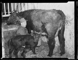 Walker, Reeve William A.