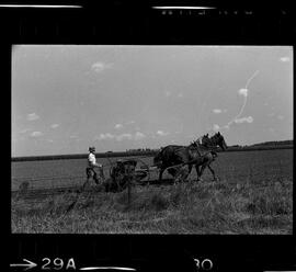 Mennonites