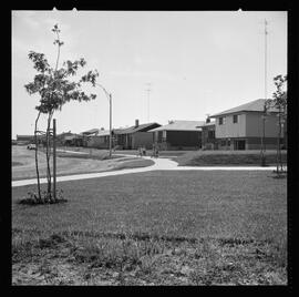 Apartment versus Suburban Living