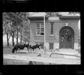 Natchez School S.S. No. 6 Closing