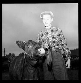 Wellesley Fall Fair