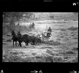 Mennonites