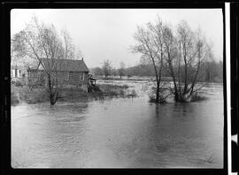 Flood, Grand and Conestogo