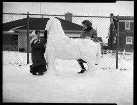 Snow Horse, East Ave.
