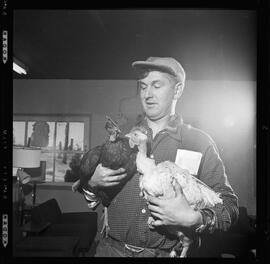Israel, Earl & Fowl