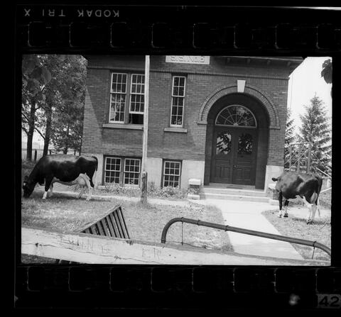 Original Digital object not accessible