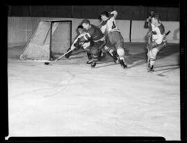 Hockey, Junior Action, Guelph-Kitchener