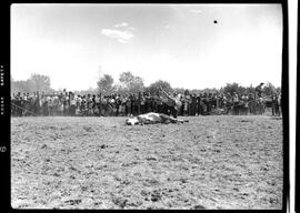 Blair, Stampede