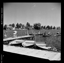 Camp Feature, Paradise Lake, Lions, Belwood