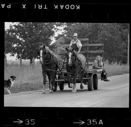 Mennonites