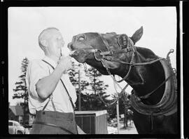 Horse and Ice cream Cone