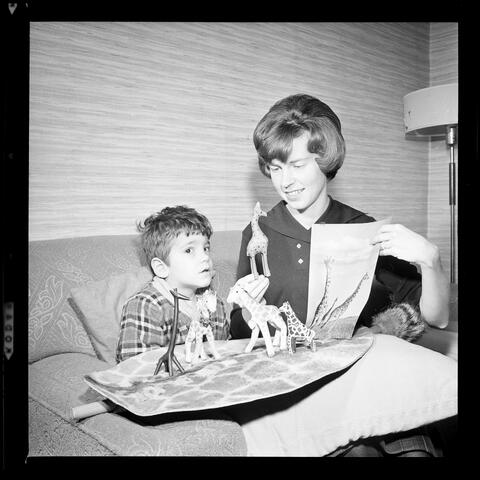 Original Digital object not accessible