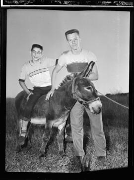 Kids and Donkey