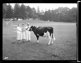 Waterloo, Black and White Show