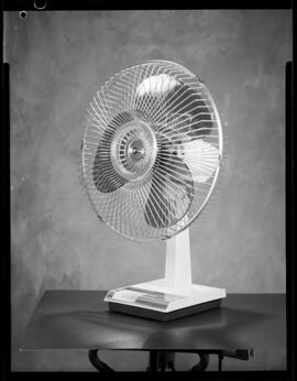 Eatons,  Fans