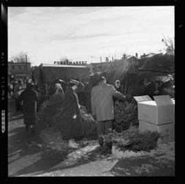 Market, Christmas