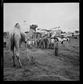 Circus, Bridgeport Speedway