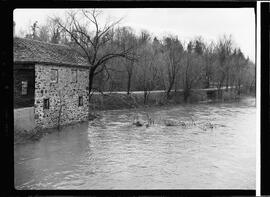 Flood, Grand and Conestogo