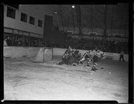 Hockey, Elmira Polar Kings Action