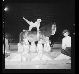 Circus, Kitchener Memorial Auditorium