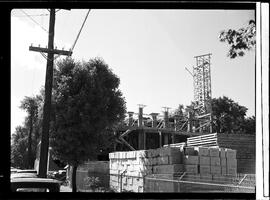 Industrial Firms